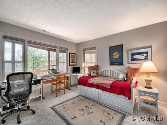 6 High Meadow Cove - Photo 14