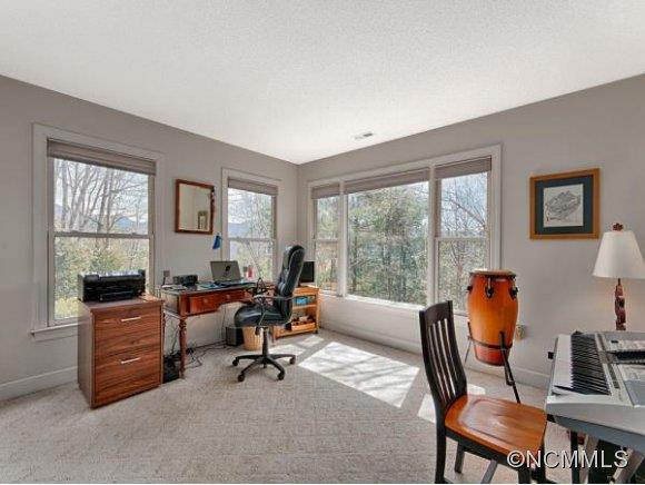 6 High Meadow Cove - Photo 15