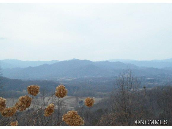 345 Cattail Lane - Photo 2