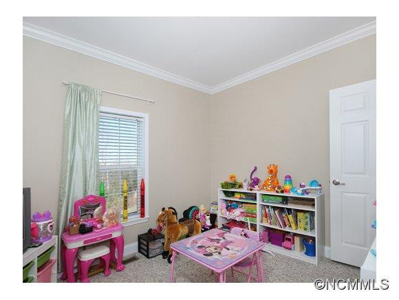 1496 Summit Springs Drive - Photo 13