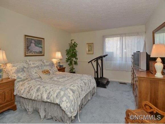 211 JUNIPER LANE - Photo 8
