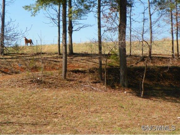 131 Flat Creek Church Road - Photo 17