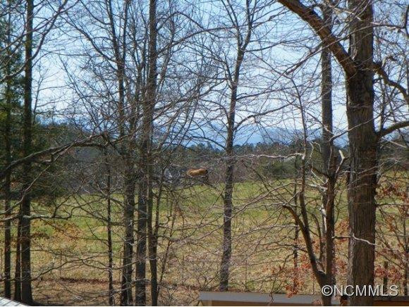 131 Flat Creek Church Road - Photo 21