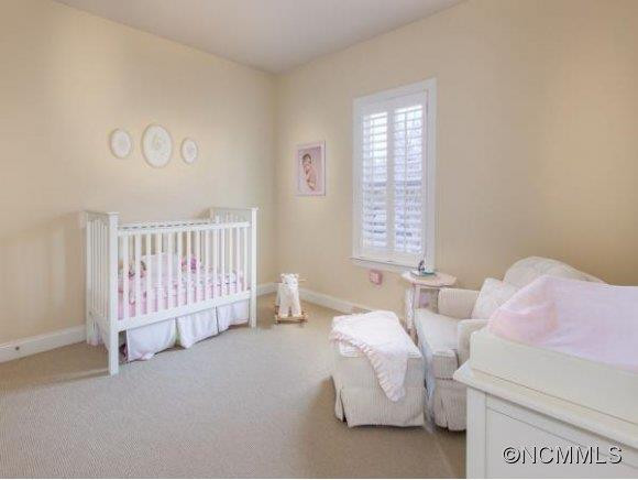 217 FENNEL DUN CIRCLE - Photo 17
