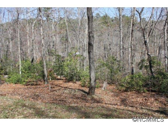 165 Butternut Lane - Photo 13
