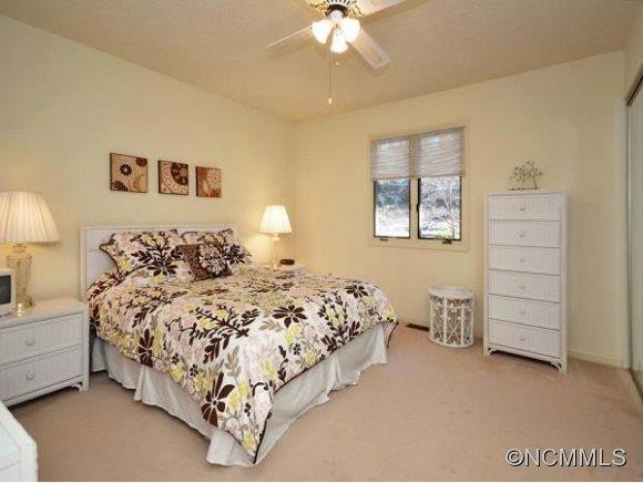 305 PINEY MOUNTAIN DR, UNIT S-3 - Photo 8