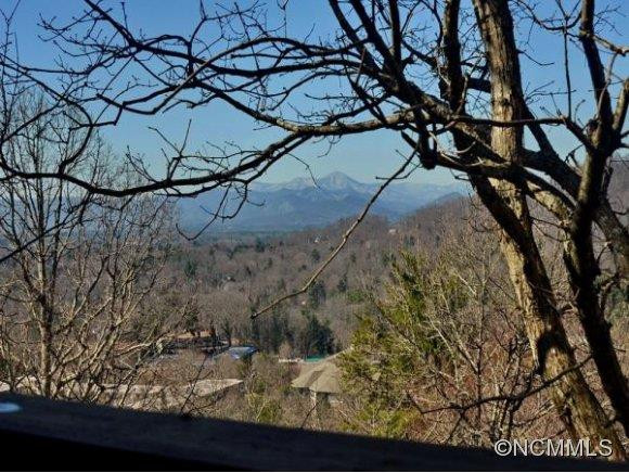 305 PINEY MOUNTAIN DR, UNIT S-3 - Photo 9