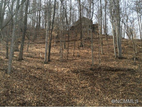425 Blue Mist Way - Photo 23