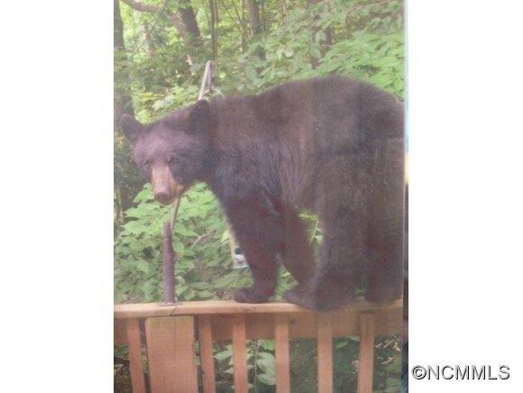 425 Blue Mist Way - Photo 24