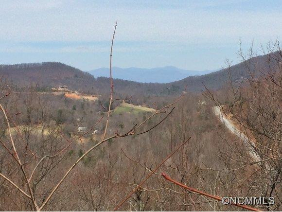 425 Blue Mist Way - Photo 5