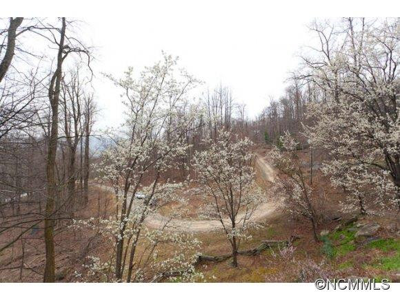 148 Locust Ridge - Photo 7