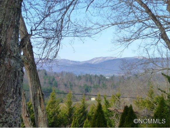 1793 IVY HILL ROAD - Photo 2