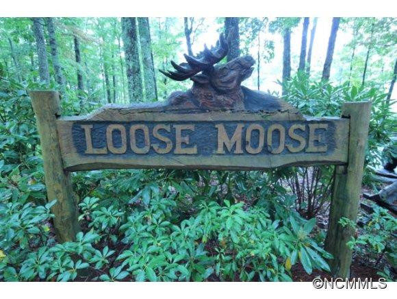 390 Forest Ridge Road - Photo 23