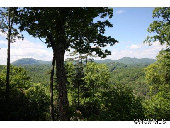390 Forest Ridge Road - Photo 7
