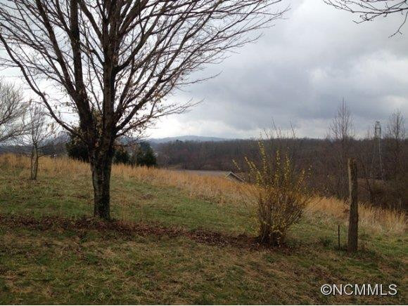 401 Crest Road - Photo 3