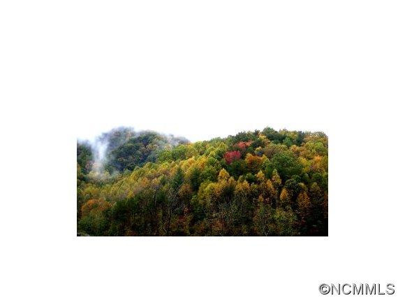 1070 Ingle Mountain Road - Photo 24