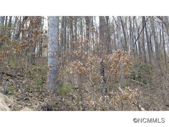 235 High Top Drive - Photo 15