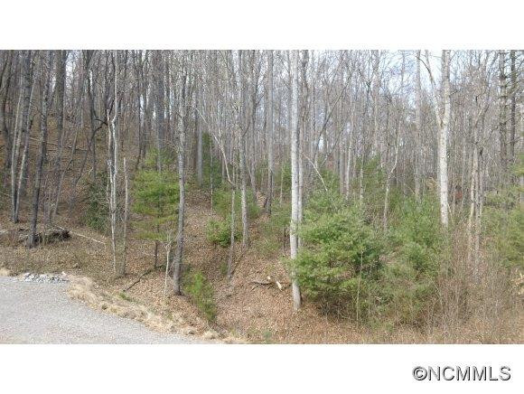 235 High Top Drive - Photo 19