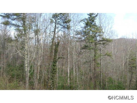 235 High Top Drive - Photo 20