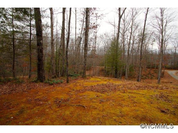 187 Allison Hill Drive - Photo 3