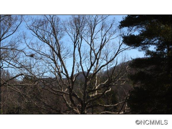 115 Windsor Road - Photo 18