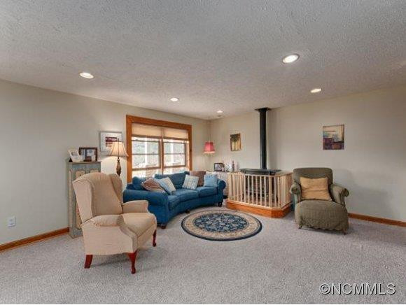 200 Feather Lane - Photo 19