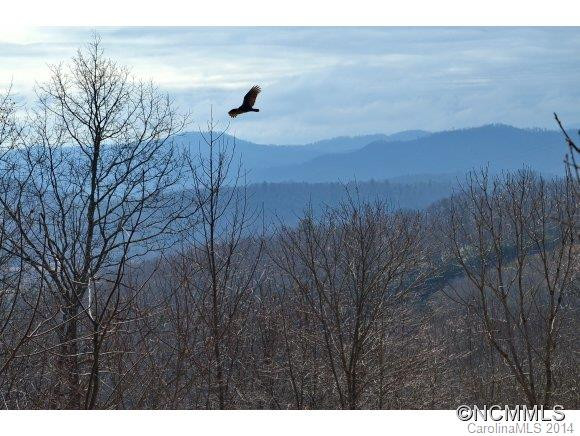 238 Sweetwater Road - Photo 2
