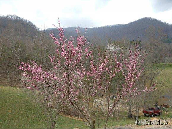 255 L&E Meadows Drive - Photo 16