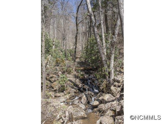 310 Long Branch Road - Photo 18
