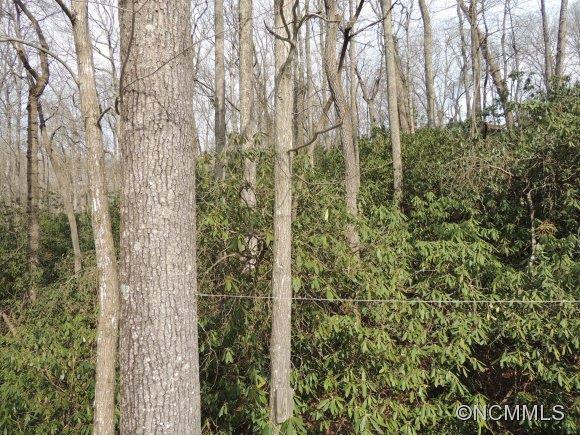 516 Oakwilde  Drive - Photo 24