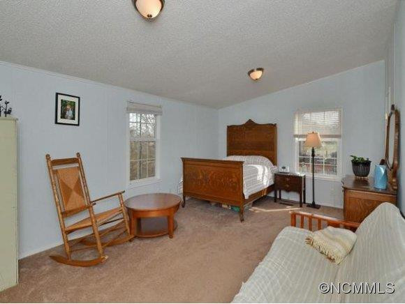 30 Frank Lawson Lane - Photo 11
