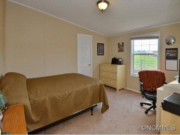 30 Frank Lawson Lane - Photo 13