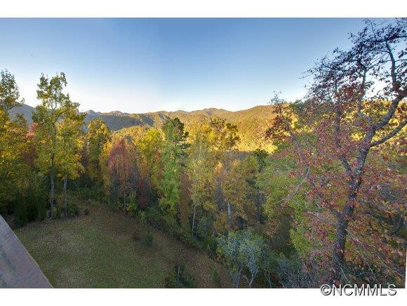 1063 Mills River Way - Photo 18