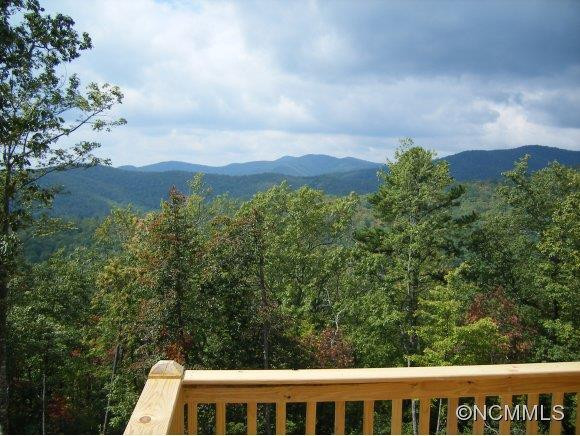 1063 Mills River Way - Photo 19