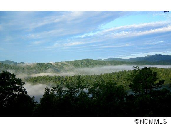 1063 Mills River Way - Photo 20