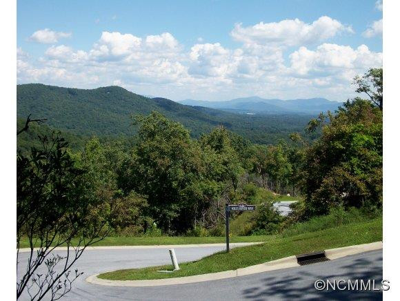 1063 Mills River Way - Photo 22
