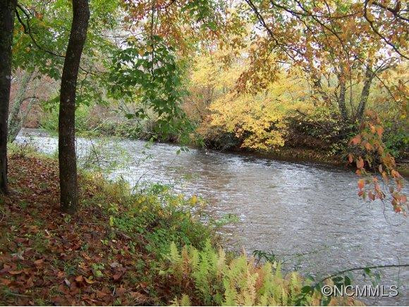 1063 Mills River Way - Photo 23