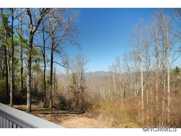 732 Elk Mountain Scenic Highway - Photo 2