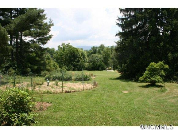 110 Upper Grassy Branch Road - Photo 4