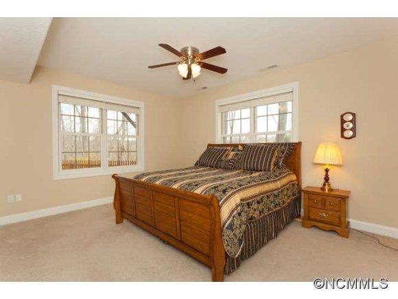 365 Scarlet Tanager Court - Photo 13