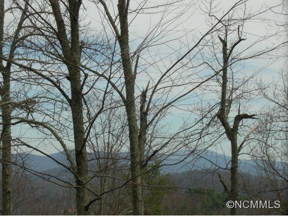1185 Davis Mountain Road - Photo 4