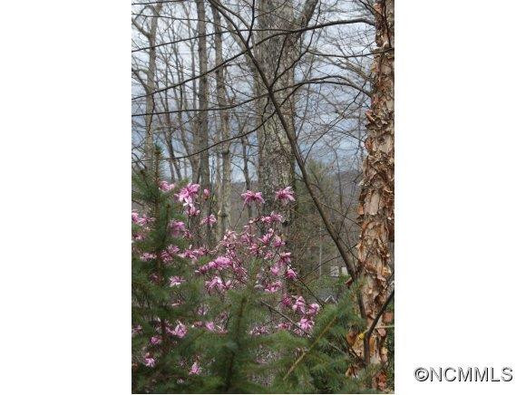 659 Shawn Rachel Parkway - Photo 12