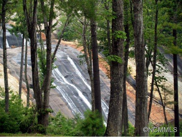 0 Toxaway Falls Drive - Photo 2