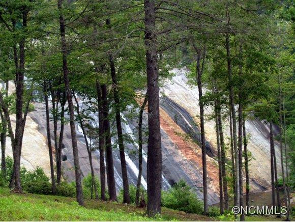 0 Toxaway Falls Drive - Photo 14