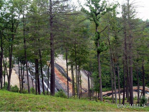 0 Toxaway Falls Drive - Photo 15
