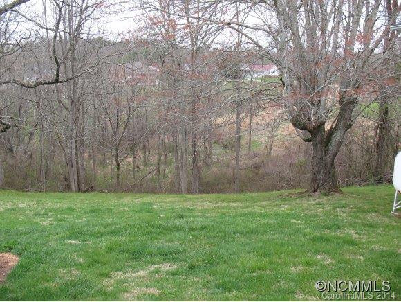46 Woods Ammons - Photo 3