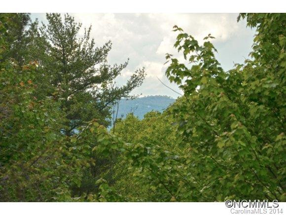 454 Chestnut Walk Drive - Photo 20