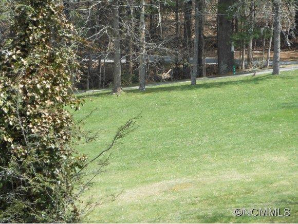 454 Chestnut Walk Drive - Photo 22