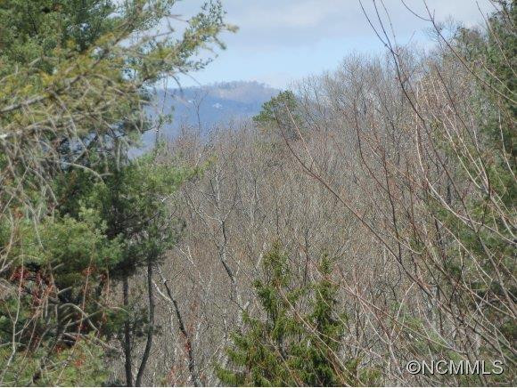 454 Chestnut Walk Drive - Photo 23