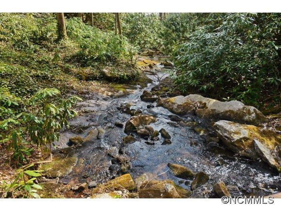 769 Wild River Road - Photo 2